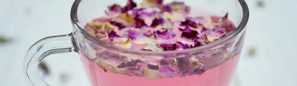 טיפול בצמחי מרפא - לצאת מחוזקים