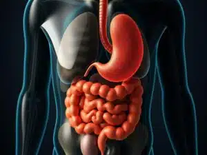 Проблемы с пищеварением: как найти эффективное лечение и вернуть себе комфорт
