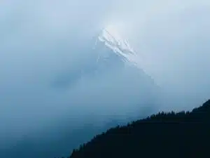 Мокса в современной медицине: древняя практика с новыми возможностями